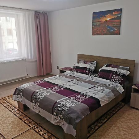 Apartament Bucovina Apartment Campulung Moldovenesc Exterior photo