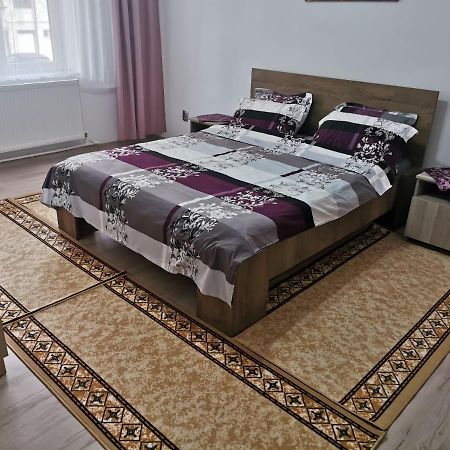 Apartament Bucovina Apartment Campulung Moldovenesc Exterior photo