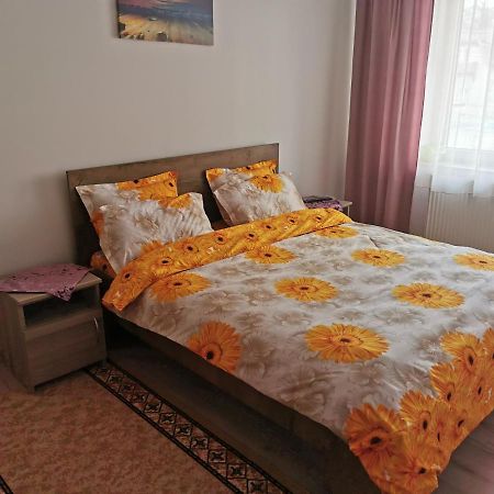 Apartament Bucovina Apartment Campulung Moldovenesc Exterior photo