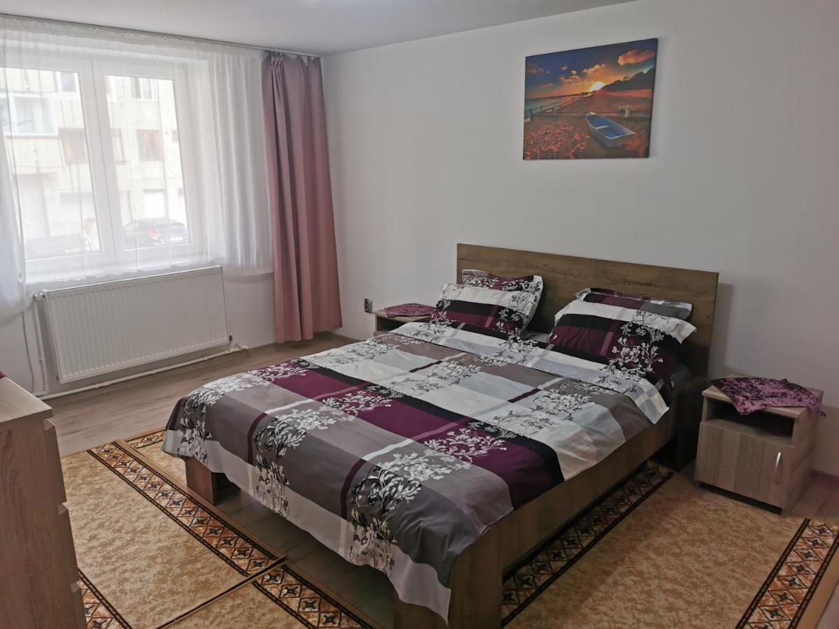 Apartament Bucovina Apartment Campulung Moldovenesc Exterior photo