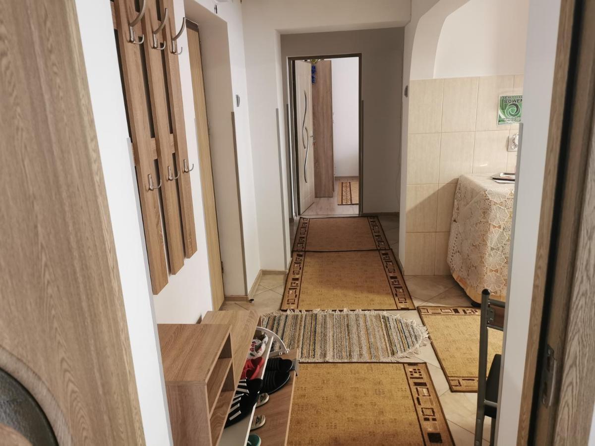 Apartament Bucovina Apartment Campulung Moldovenesc Exterior photo