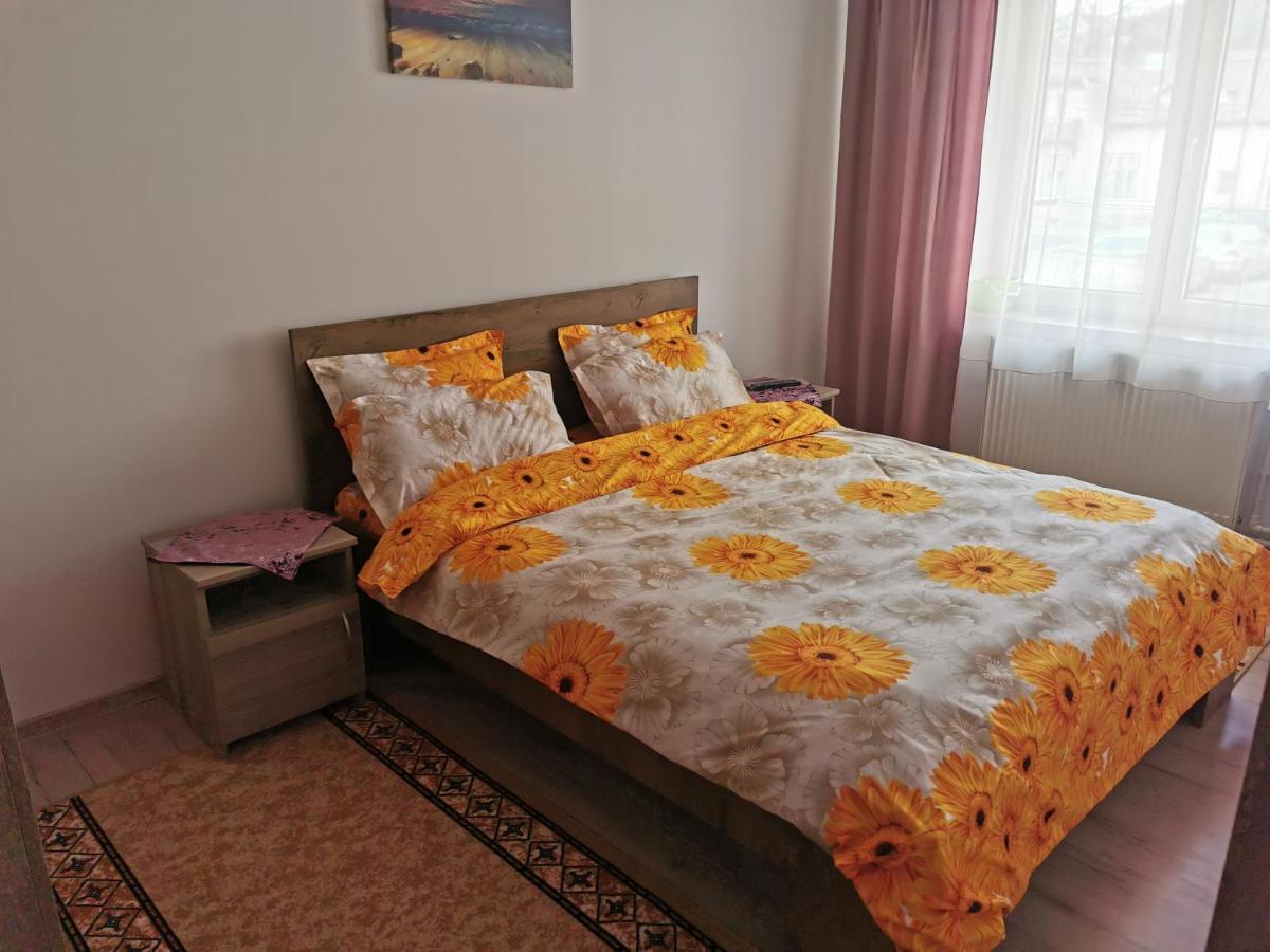 Apartament Bucovina Apartment Campulung Moldovenesc Exterior photo