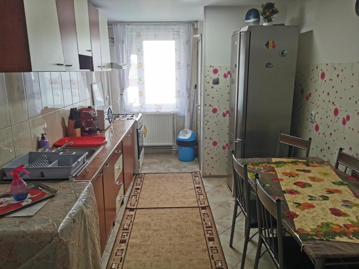 Apartament Bucovina Apartment Campulung Moldovenesc Exterior photo